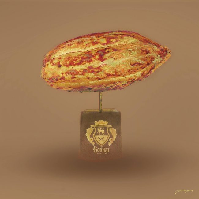 Collection Particulière - cabosse