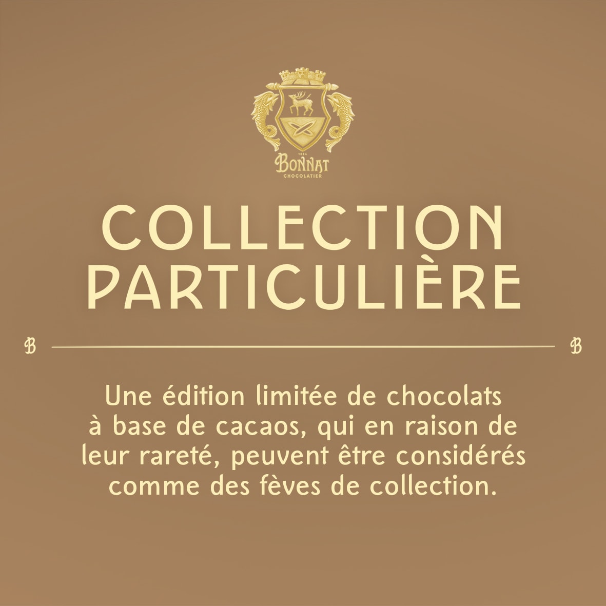 Collection Particulière - texte